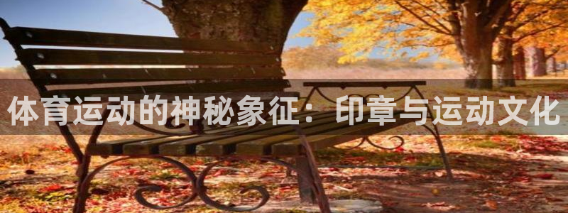 678体育：体育运动的神秘象征：印章与运动文化