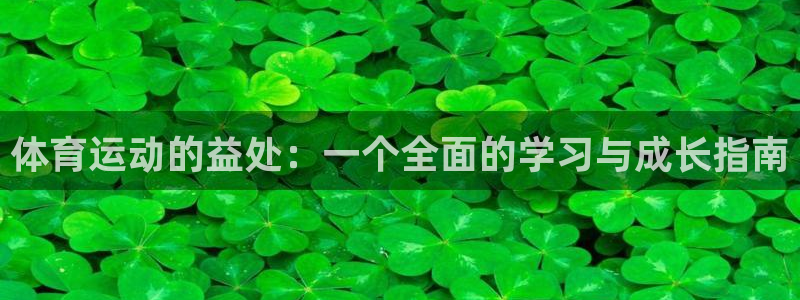 678体育官网：体育运动的益处：一个全面的学习与成长指南