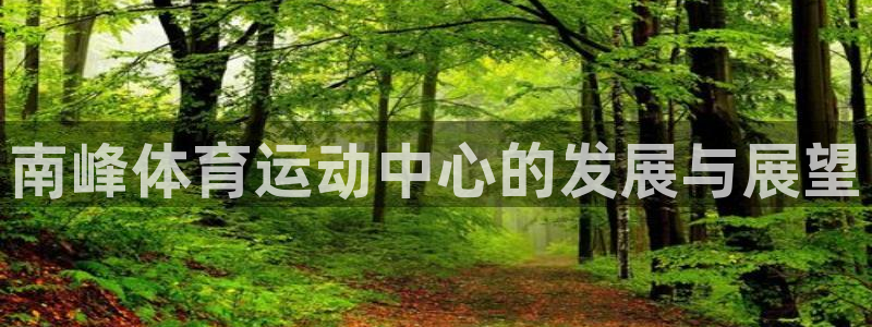 678体育官网下载：南峰体育运动中心的发展与展望