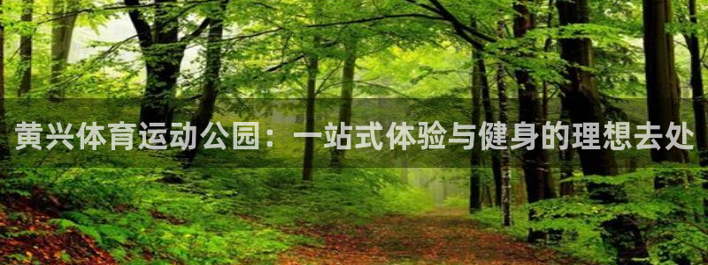 678体育知识：黄兴体育运动公园：一站式体验与健身的理想去处