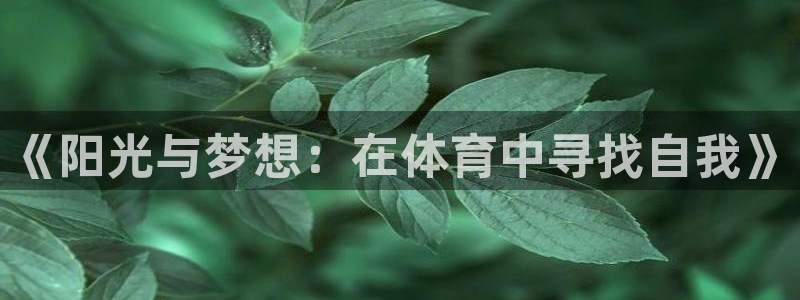 678体育：《阳光与梦想：在体育中寻找自我》