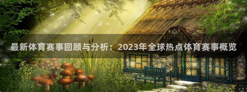 678体育官网下载：最新体育赛事回顾与分析：2023年全球热点体育赛事概览