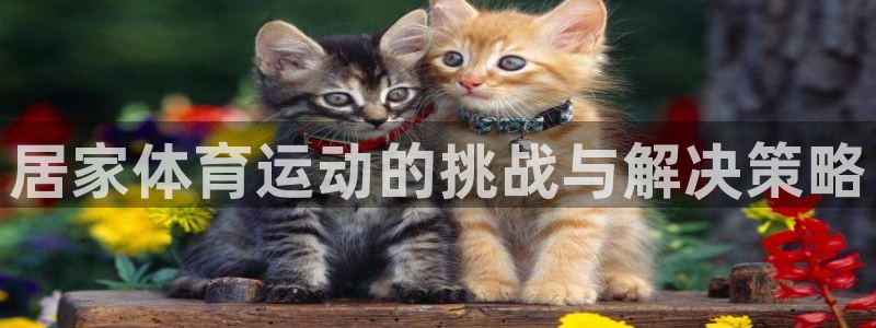 皇冠678体育：居家体育运动的挑战与解决策略