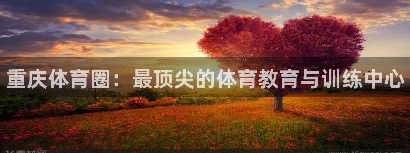 678体育官网地址：重庆体育圈：最顶尖的体育教育与训练中心