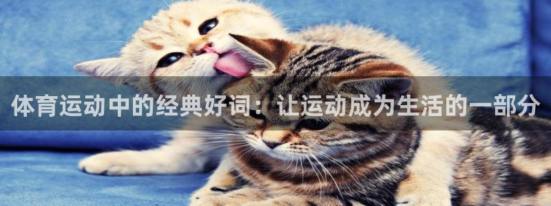 678体育官网地址：体育运动中的经典好词：让运动成为生活的一部分