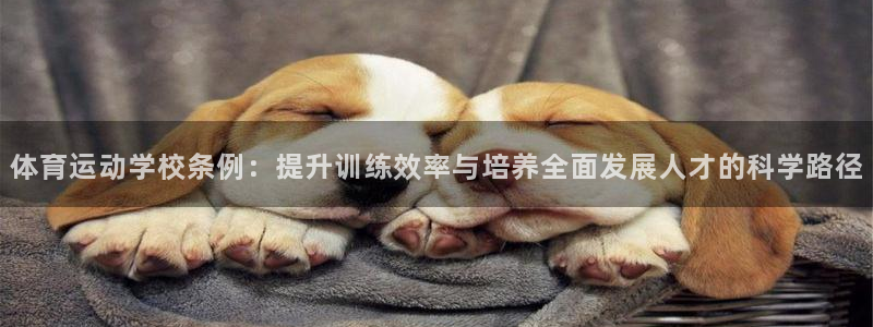 678体育官网：体育运动学校条例：提升训练效率与培养全面发展人才的科学路径