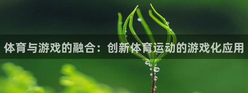 678体育官网下载：体育与游戏的融合：创新体育运动的游戏化应用