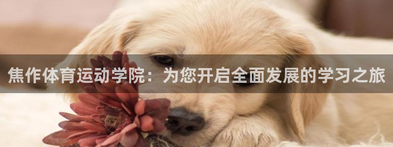 678体育知识：焦作体育运动学院：为您开启全面发展的学习之旅