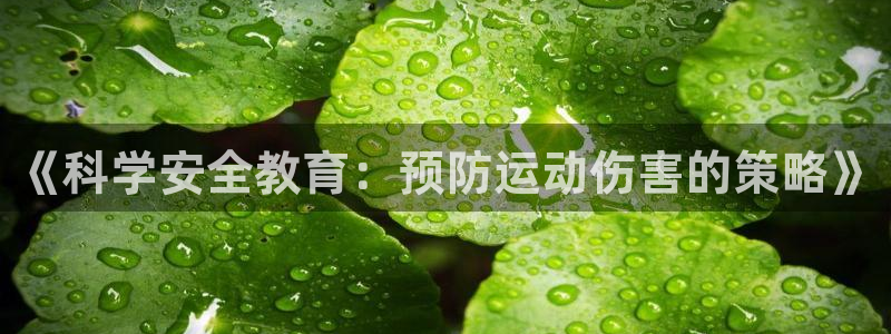 678体育知识：《科学安全教育：预防运动伤害的策略》